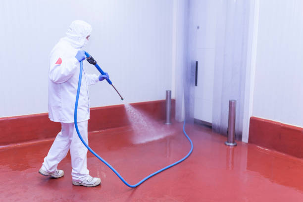 Best Post-Construction Pressure Washing  in Goodhue, MN